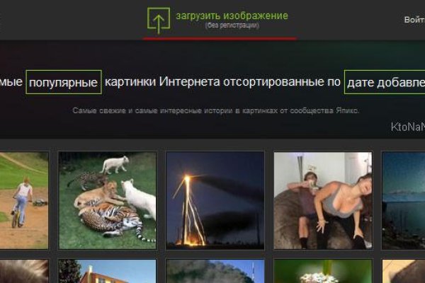 Не работает сайт kraken
