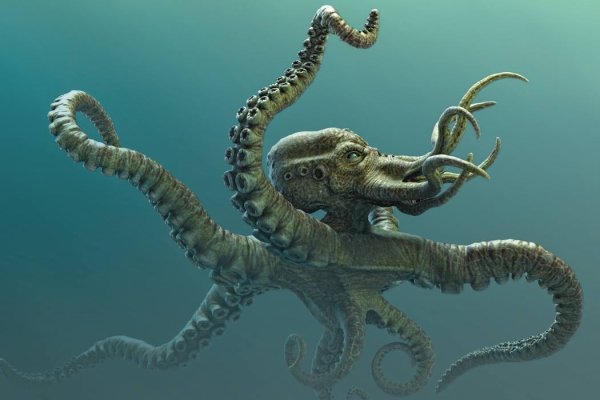 Kraken 14at