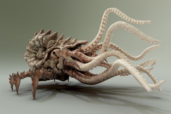 Кракен магазин kraken014 com
