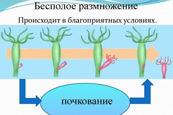 Kraken наркотики сайт