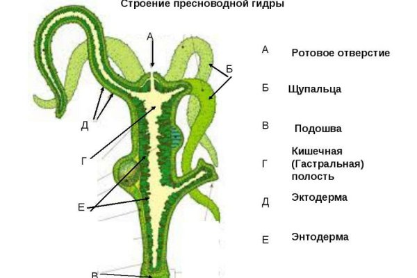 Кракен сайт официальный ссылка kraken clear com